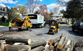 Lawn Grading and Leveling in Wyndham, VA